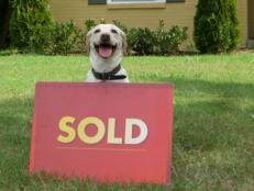 Bill's dog and the sold sign outside of Bill's new home, as seen on HGTV's My First Place.