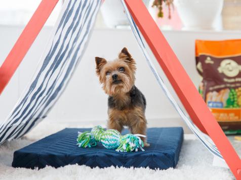 Perfectly Portable Pup Tent for Easy Summer Shade