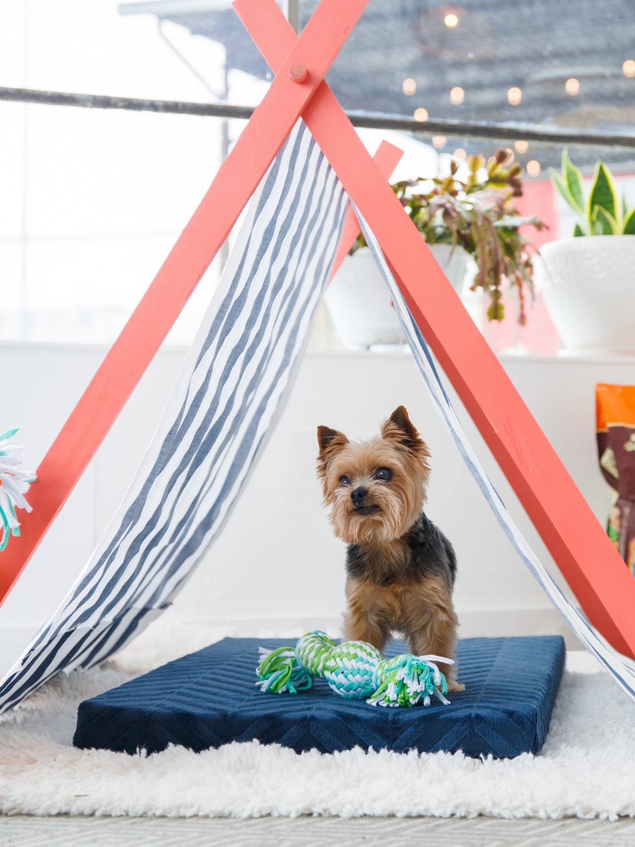 Create Your Own Dog Tent For Simple Outdoor Shade | HGTV