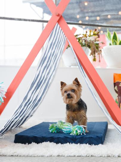 Dog shade shop canopy diy