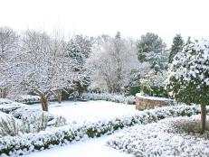 Snow-Covered Formal Garden 