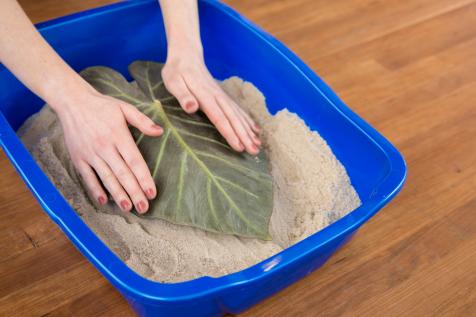 How to Make Concrete Leaf Casting Bowl, Elephant Ear Cement Leaf