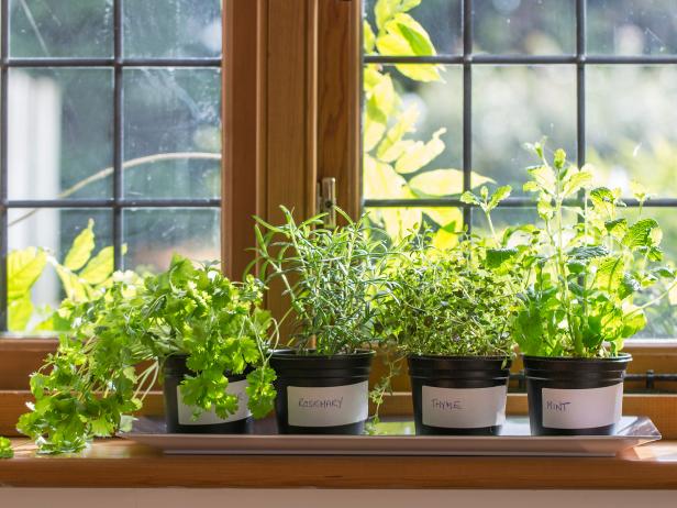How To Plant A Windowsill Herb Garden, Kitchen Herb Garden Windowsill Planter With Seeds