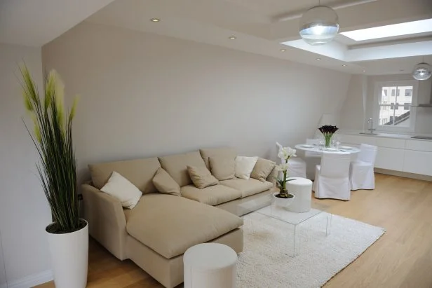 Clean minimalism in the main living area.