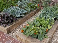 Vegetable Garden in Raised Beds
