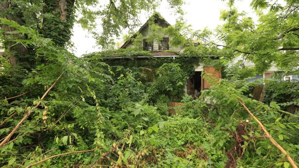 The original exterior of the Sanders house that Mina and Karen are renovating together, the house is completely taken over by overgrown greenary as seen on Good Bones 
