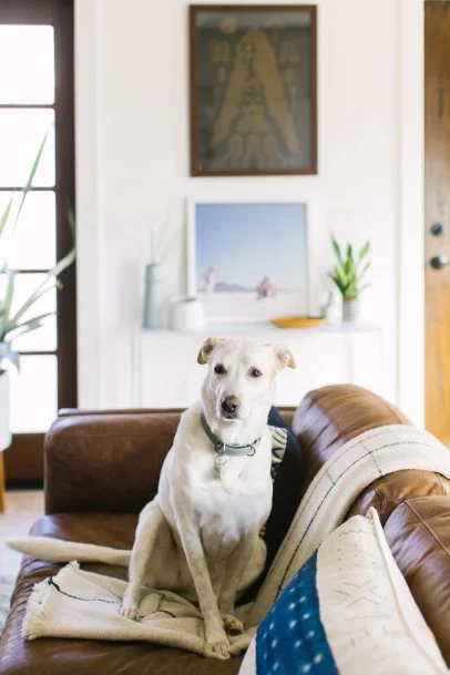 How to Get a Bad Smell Out of a Leather Couch HGTV