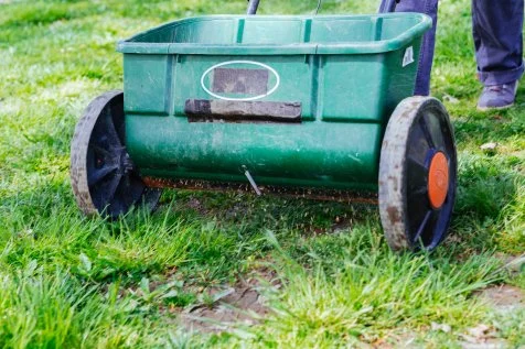 Can i cut my lawn in february online