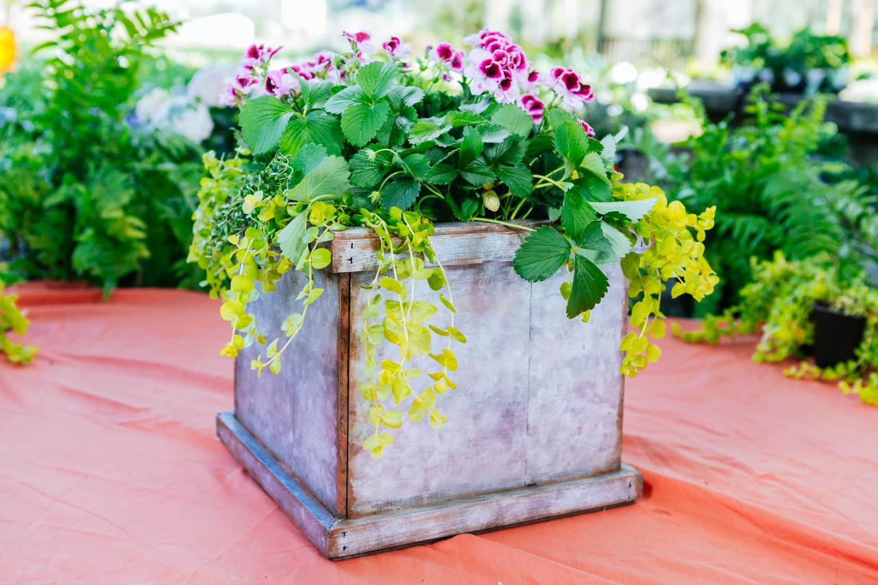22 Oversized Planters You Can Make From Upcycled Items