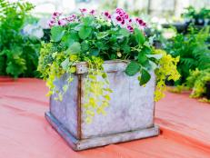 This basic wooden planter is painted to look like stylish metal.