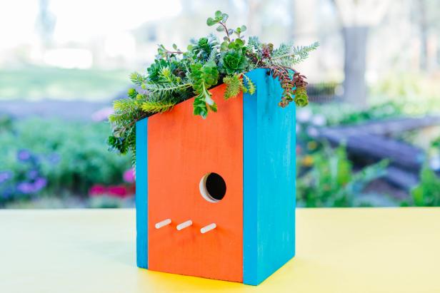 A living roof and midcentury modern style set this DIY birdhouse project apart from the flock.