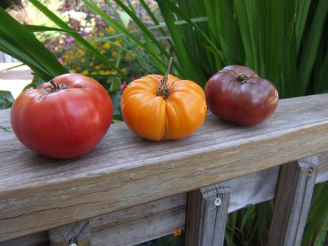Grow the Best Heirloom Tomatoes for Your Region