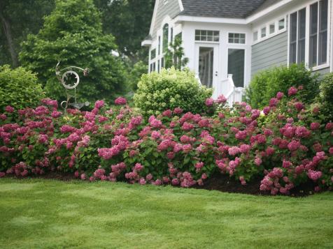 21 Plants to Add Instant Curb Appeal When Selling Your Home