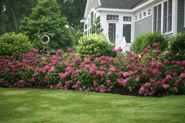 Front Yard Landscaping Ideas To Sell Your Home Decorative Plants For Instant Curb Appeal Hgtv - Best Front Yard Landscaping Plants