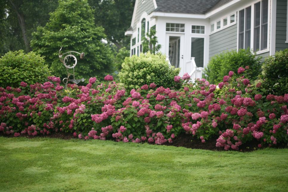 Front Yard Landscaping Ideas To Sell Your Home Decorative Plants For Instant Curb Appeal Hgtv - Best Small Shrubs For Front Of House