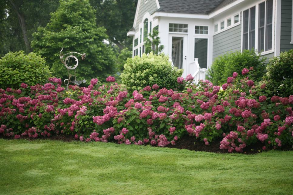 Front Yard Landscaping Ideas To Sell Your Home Decorative Plants For Instant Curb Appeal Hgtv