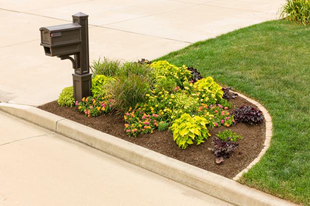 Flowers and Plants Surrounding Mailbox at Street Curb