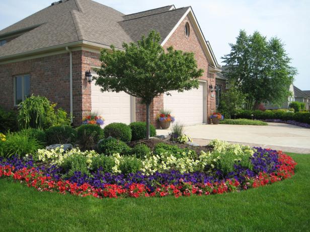 Front Yard Flower Bed With Tree and Petunias