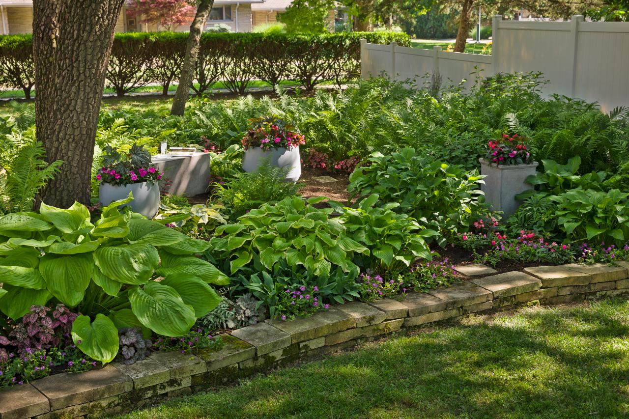 Front Yard Landscaping Ideas to Sell Your Home   Decorative Plants ...