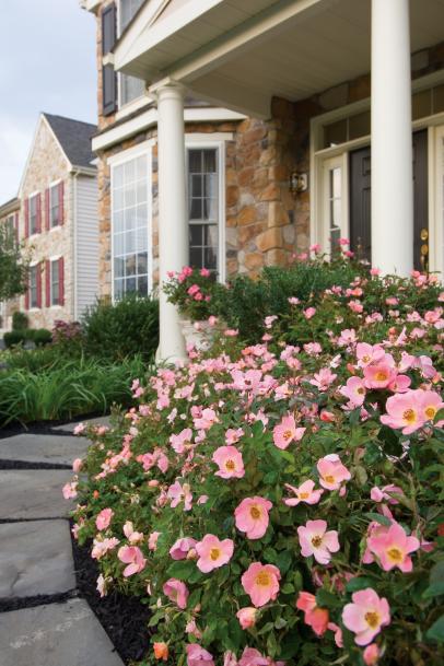 house flower landscape