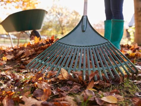 13 Ways to Get Your Lawn Ready for Cool Weather