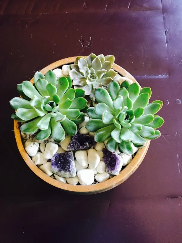 vine succulents Mixed Succulents with Curly Vine and Dried Mushrooms in Metal Boat. FH: 17"H