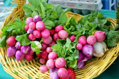 Growing Guide: Radish - SeedSavers