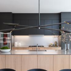 Modern Kitchen With Matte Black Cabinets