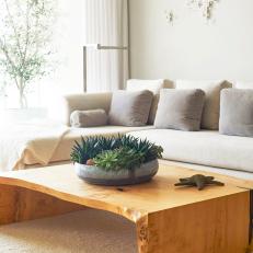 Coastal Living Room With Driftwood Coffee Table