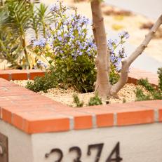 Concrete Planter With Red Brick Border and Blue Flowers