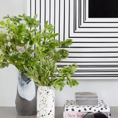 Black and White Art and Vases