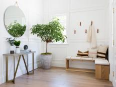 Neutral Foyer With Tree