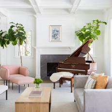 Neutral Transitional Living Room With Pink Chair