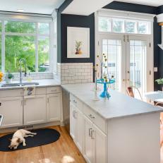Gray and White Open Plan Kitchen With Dog