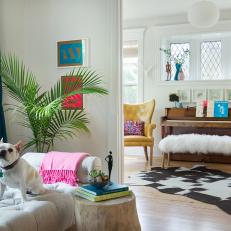 Eclectic Sitting Area With Dog and Chaise