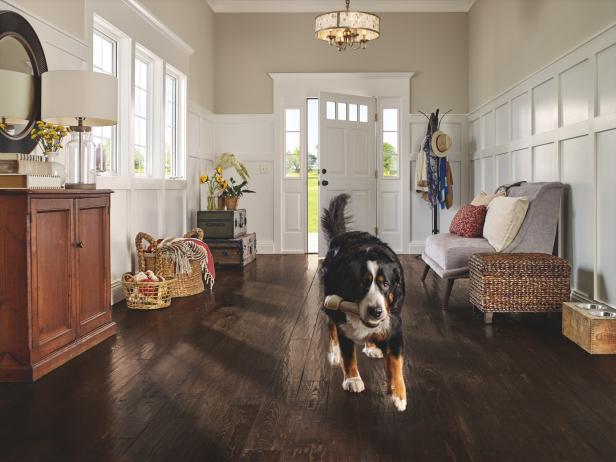 12 Forgiving Floors For Homes With Pets, Dog Resistant Hardwood Floors