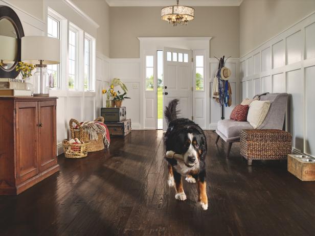 12 Forgiving Floors For Homes With Pets Hgtv