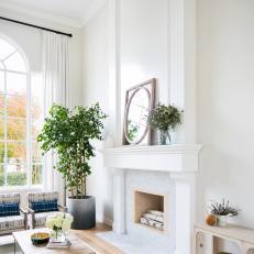 Low-Maintenance Ficus Adds Natural Touch to Living Room