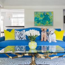 Multicolored Contemporary Living Room With Dogs