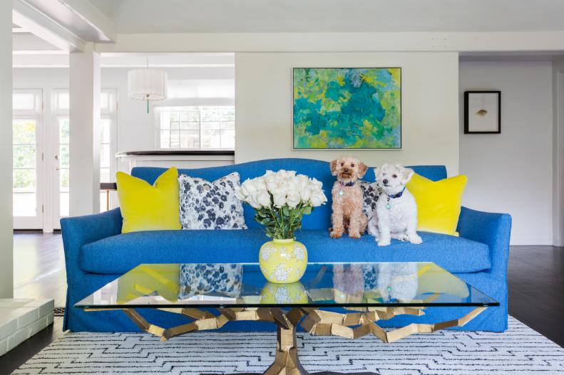 Contemporary Living Room With Dogs