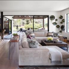 Contemporary Neutral Living Room and Dog