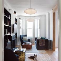 Contemporary Living Room With Small Dog