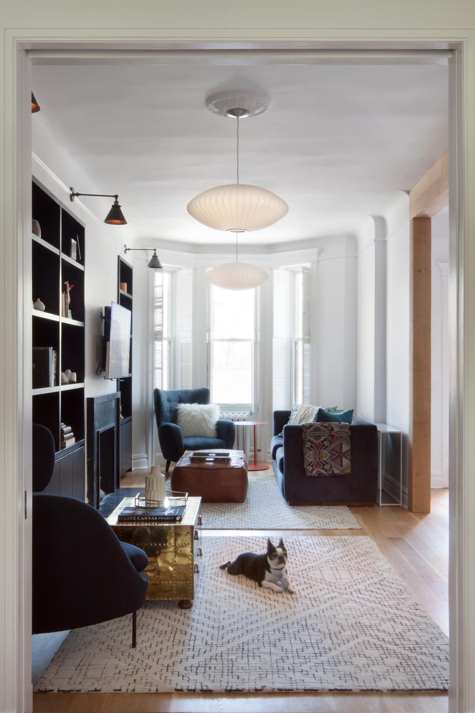 Contemporary Living Room With Small Dog Hgtv