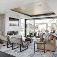 Contemporary Indoor Outdoor Gray Living Room