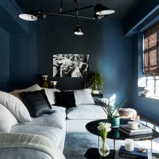 Blue Contemporary Sitting Room With Sectional