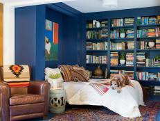 Modern Guest Bedroom And Library With Navy Blue Built In Shelves And Murphy Bed