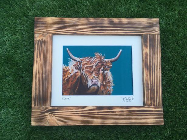 Rustic Frame of With Art Print of Scottish Cow