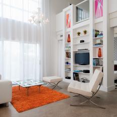 Contemporary Living Room With Orange Rug