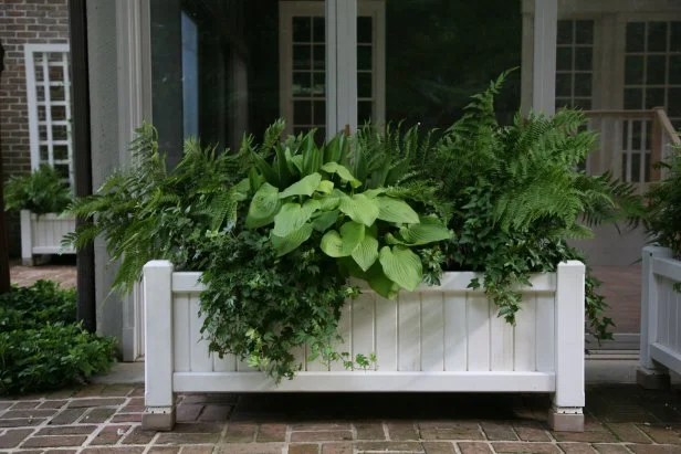 wooden garden plant pots Oversized Wooden Planters Set of 2 main image 1
