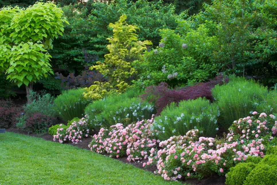 Plant A Garden For Year Round Color, Year Round Perennial Garden Plan